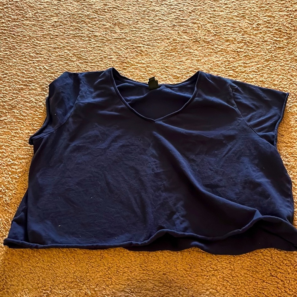 Wild Fable Crop Top